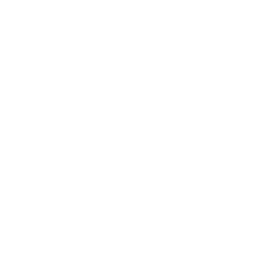 363DPI
