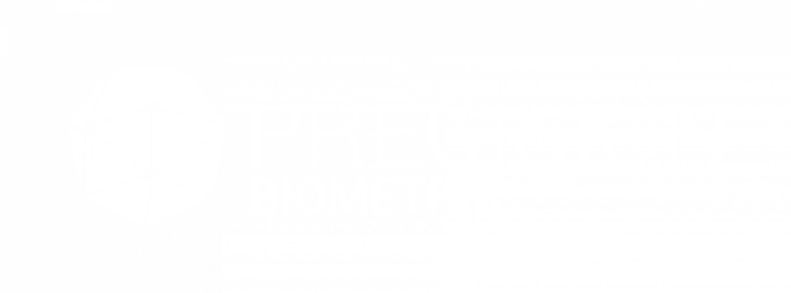 PRECISION BIOMETRIC